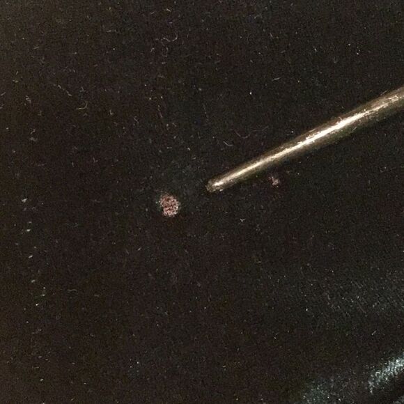 Tahari Dark Green Velvety Soft Velour Jewel Tone Holiday Blazer Jacket - Picture 16 of 16